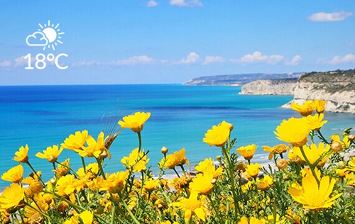 march spring flowers north cyprus